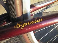 "Special" decal